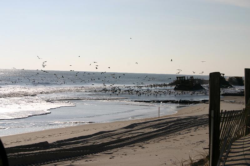 Day20 83rdFillBeach2.JPG